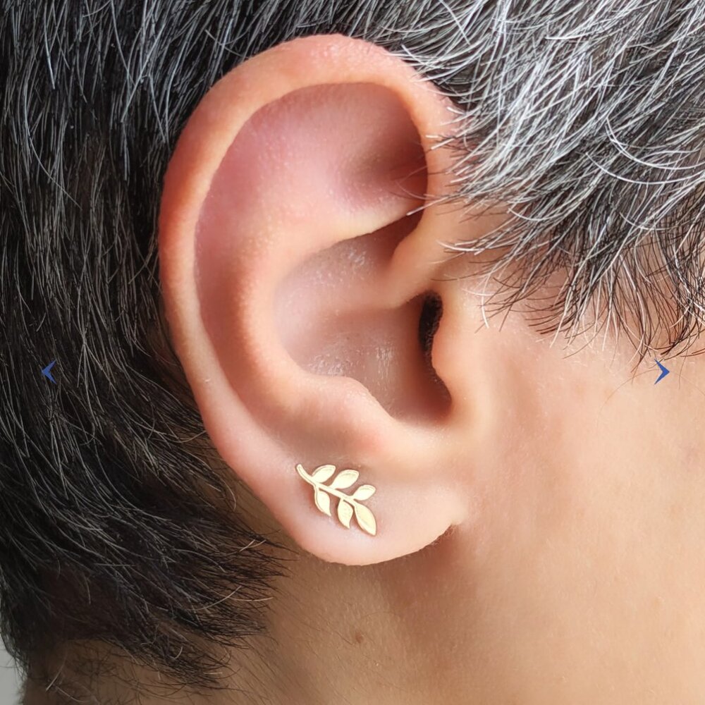 18k Yellow Gold Leaf Earrings